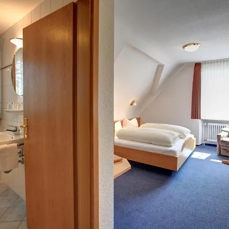 酒店 Zum Hirschen 3*