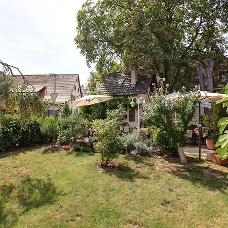 酒店 Zum Hirschen 3*